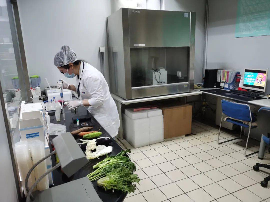 宝山食品检测实验室装修方案
